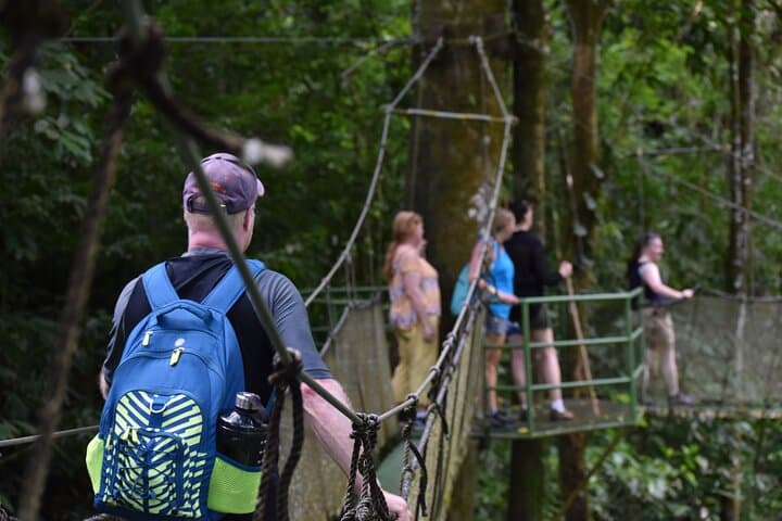 Manuel Antonio Hanging Bridges & Waterfalls — Rainmaker Day Hike