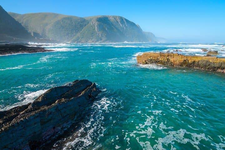 Tsitsikamma Private Full-Day Tour: Big Tree, Suspension Bridge & Bloukrans Bungee photo 3