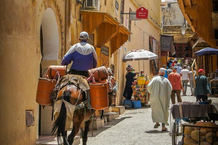 Fez Day Trip from Casablanca — Explore the Medina, Tannery & Royal Sites photo 4