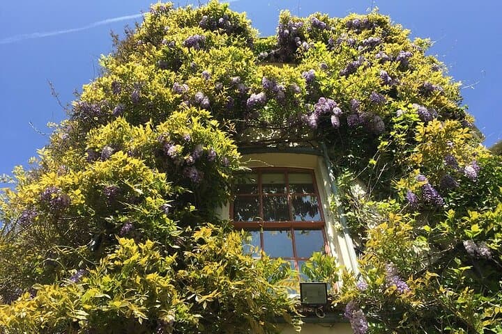 Discover Darwin's Down House: Private Day Trip from London photo 2