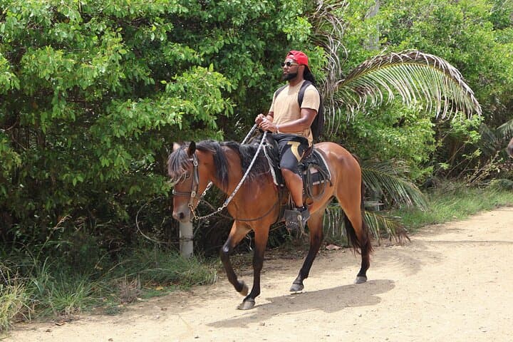 Roatán Zipline, Horseback & Snorkel Combo — West Bay Reef Adventure photo 5