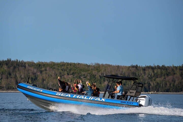 Halifax Harbour High-Speed Historical & Wildlife Tour photo 3