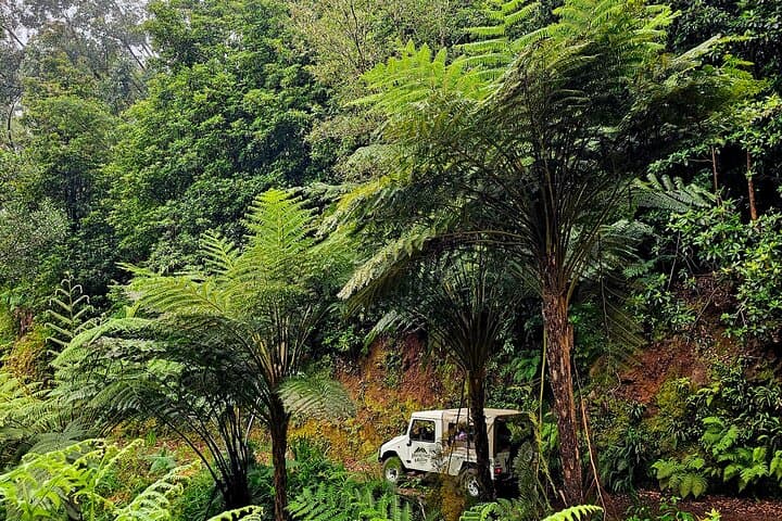 Full-Day Private Tour of Madeira: Laurissilva, Cabo Girão & Porto Moniz photo 4