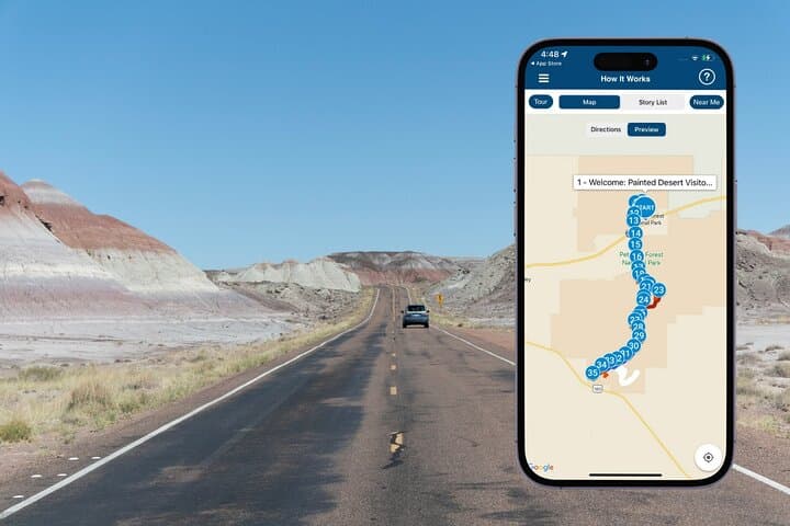 Petrified Forest National Park Self-Guided Driving Audio Tour — Route, Stops & Practical Tips photo 2