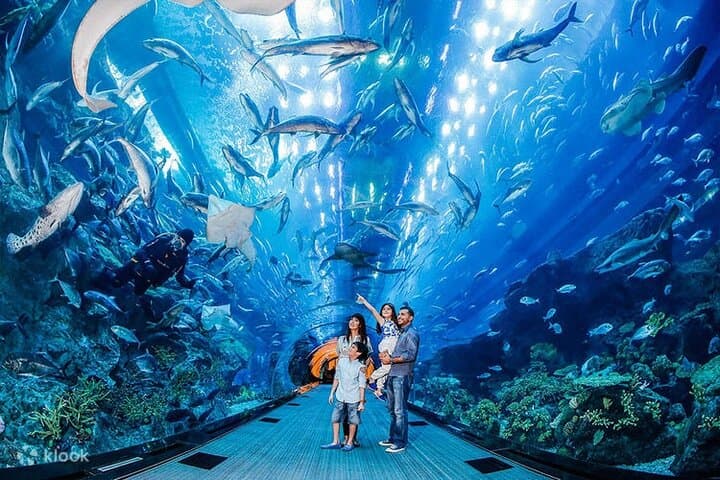 Dubai Aquarium and Underwater Zoo — 48‑Meter Tunnel, Otters & Behind‑the‑Scenes Access photo 1