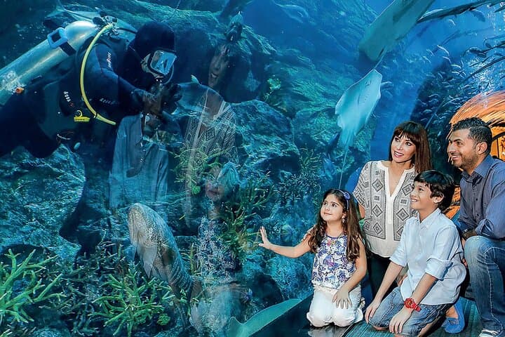 Dubai Aquarium and Underwater Zoo — 48‑Meter Tunnel, Otters & Behind‑the‑Scenes Access photo 3