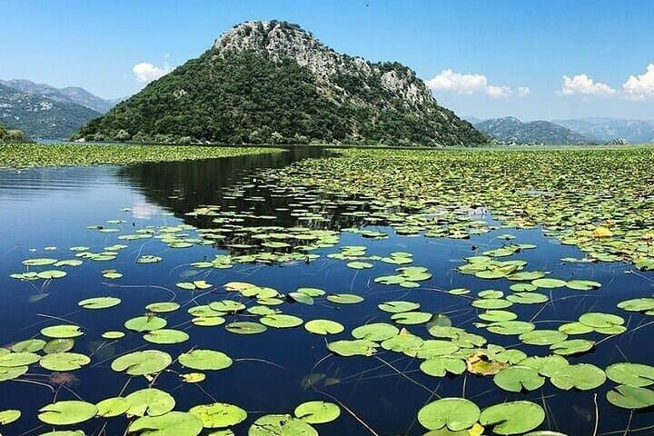 Skadar Lake Cruise from Virpazar: 2-Hour Guided Boat Tour & Birdwatching photo 2