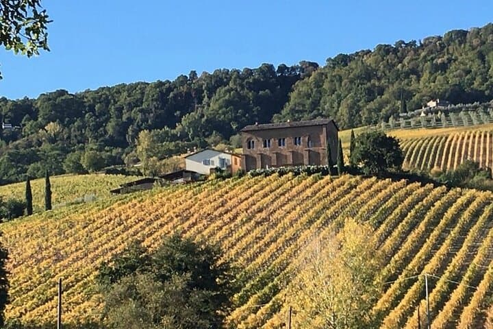 Rome to Tuscany: Hidden Gems, Thermal Baths & Hilltowns Private Tour