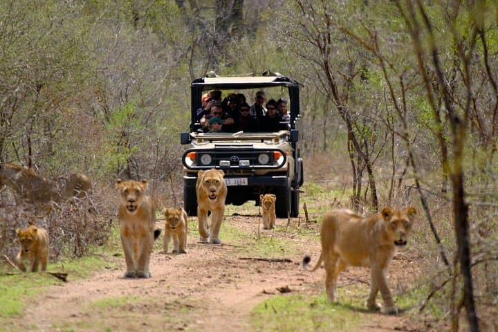 3-Day Garden Route Private Tour from Cape Town: Oudtshoorn, Knysna & Tsitsikamma