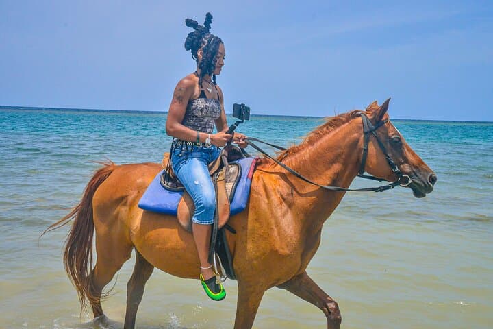 Montego Bay Horseback and Blue Hole Adventure: Beach Rides, Rope Swings & Dunn's River photo 6