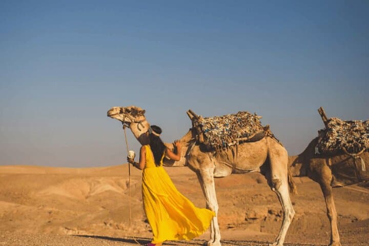 Agafay Morning Escapade: 1-Hour Quad + 1-Hour Camel Ride from Marrakech photo 5