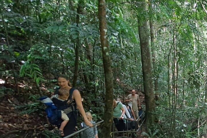 Sinharaja Rainforest Trip: Guided Day Hike in Sri Lanka’s UNESCO Forest photo 5