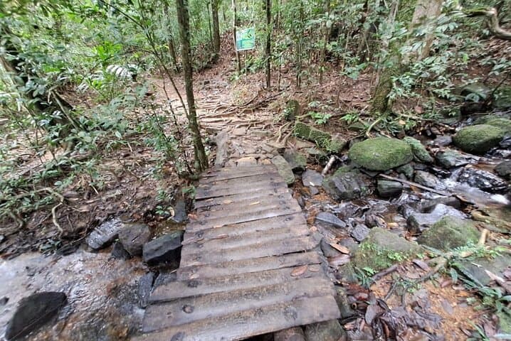 Sinharaja Rainforest Trip: Guided Day Hike in Sri Lanka’s UNESCO Forest photo 6