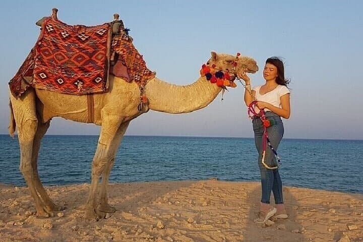 Hurghada One-Hour Camel Ride: Bedouin Desert Experience photo 4