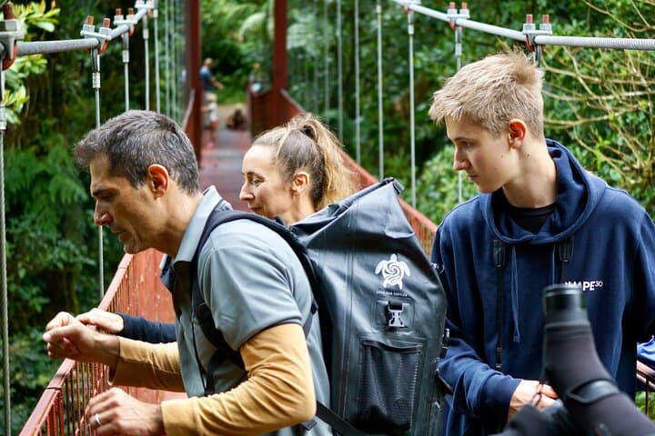 Private Monteverde Natural History Walk: Guided Cloud Forest Experience