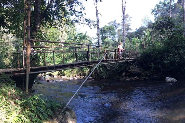 Instagram Falls Private Tour: Ubud Waterfall Photo Adventure photo 5