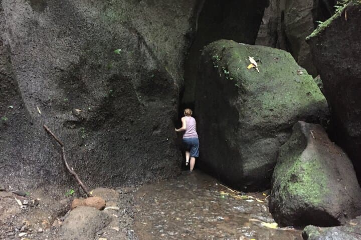 Yin and Yang Waterfalls Private Tour from Ubud photo 4
