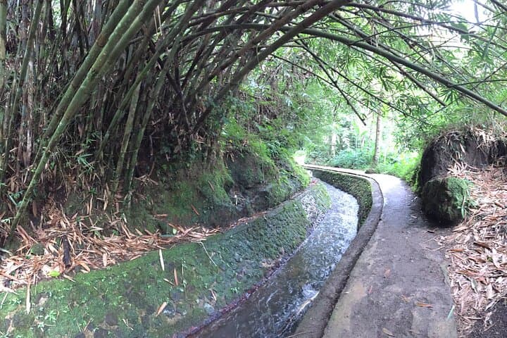 Yin and Yang Waterfalls Private Tour from Ubud photo 3