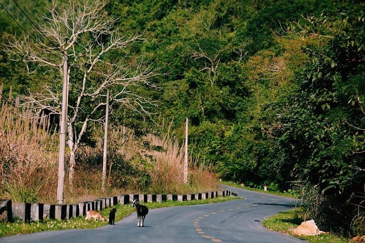 2-Day Cat Ba National Park & Lan Ha Bay Adventure from Hanoi photo 2