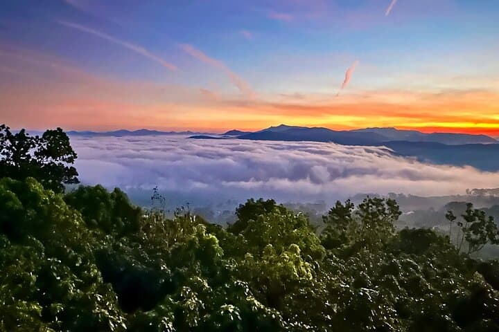 Da Lat Dawn: Cloud Hunting & Mesmerizing Sunrise Glow Tour photo 2