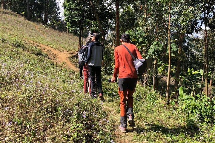 Arusha Waterfall Hike and Moivaro Coffee Farm Experience photo 6