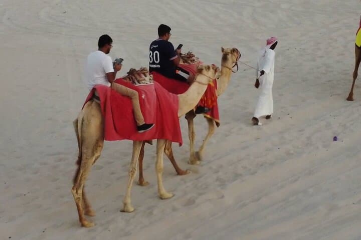 Doha Desert Half-Day Safari: Dune Bashing, Camel & Horse Rides photo 6
