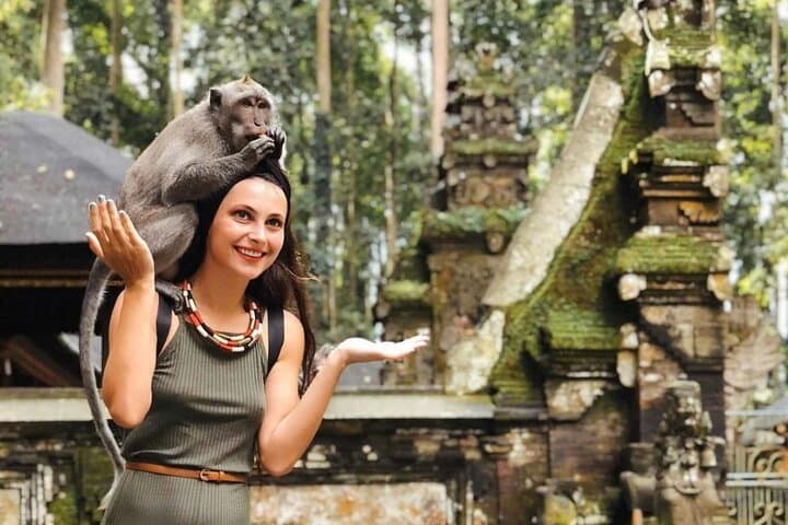 Private Ubud Highlights Day Tour: Monkey Forest, Rice Terraces & Waterfall photo 2