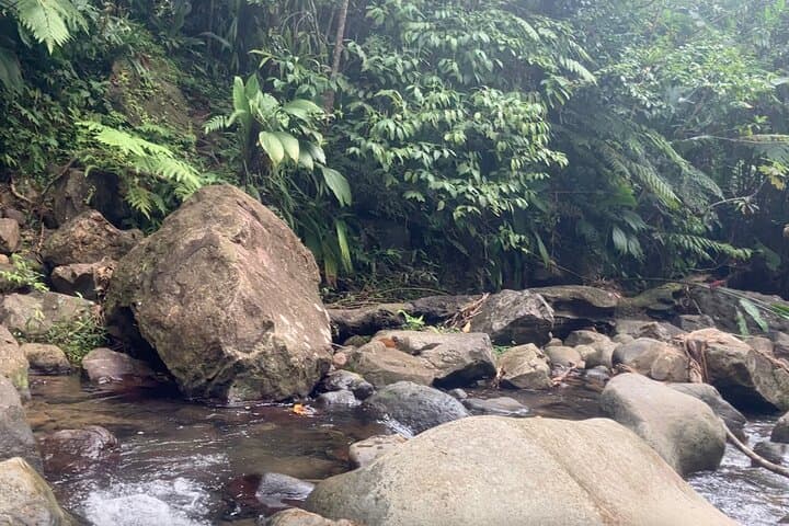 Secret Pool Hike on Dominica's Kalinago Canoe Trail with Former Chief Lorenzo Sanford photo 6