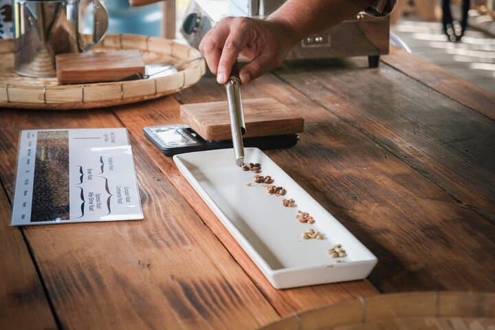 Chiang Mai Coffee Forest Experience: Hand-Roasting & V60 Brewing with Karen Hosts photo 6