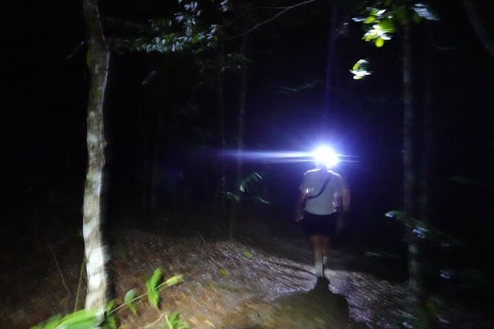 Dragon Crest Sunrise Hike & Klong Root Kayak: Krabi's Dawn-to-Daylight Nature Combo photo 6