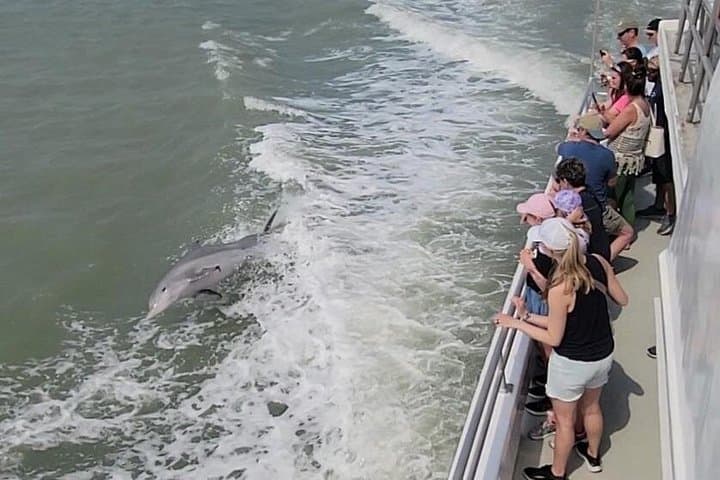 South Padre Island Fireworks Cruise: Dolphin Watch on Laguna Madre Bay photo 3