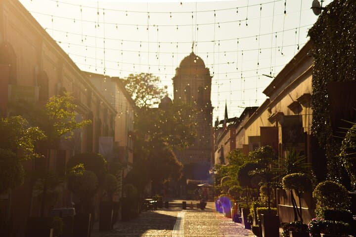 Day Trip to Tequila: José Cuervo Distillery, Agave Fields & Tasting from Puerto Vallarta photo 6
