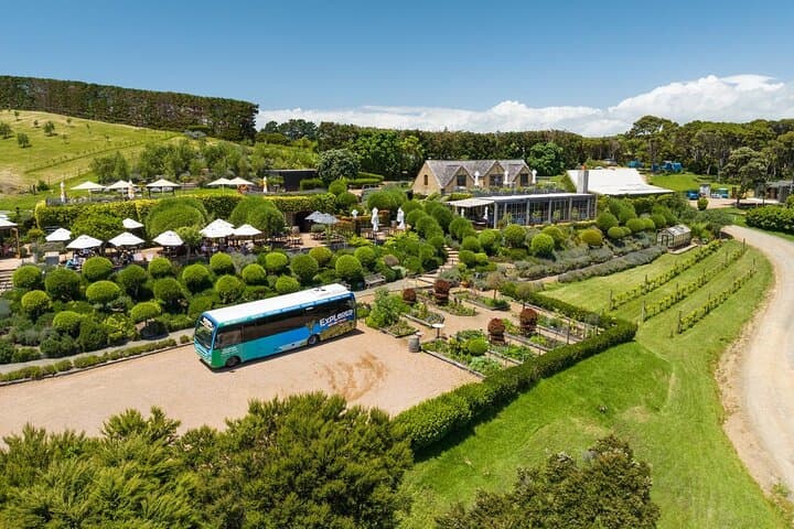 Waiheke Island Hop-On Hop-Off Explorer — Vineyards, Beaches & Art in a Day photo 1