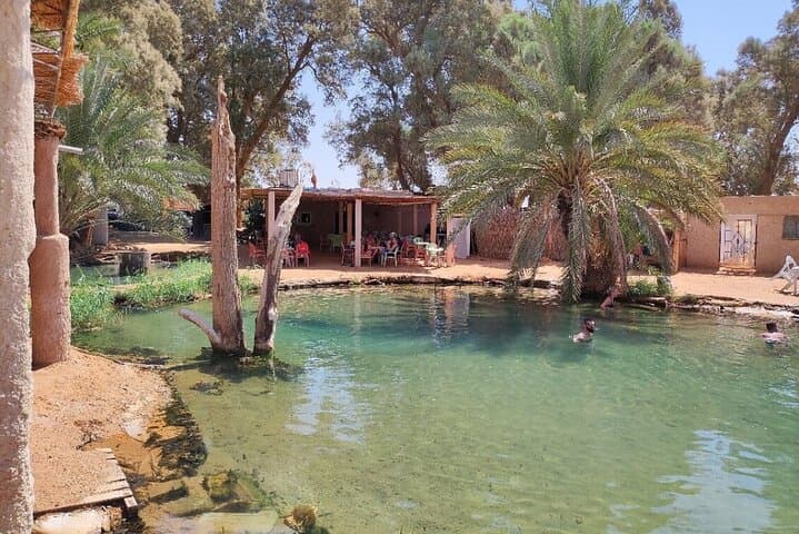 Ksar Ghilane Day Trip: Oasis Hot Spring, Dunes, Camel & Quad from Djerba photo 2