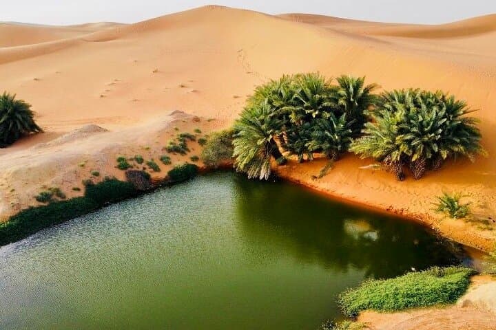 Discover Riyadh Desert & Heritage: Camel Ride, Qasab Salt Flats and Oasis Lake