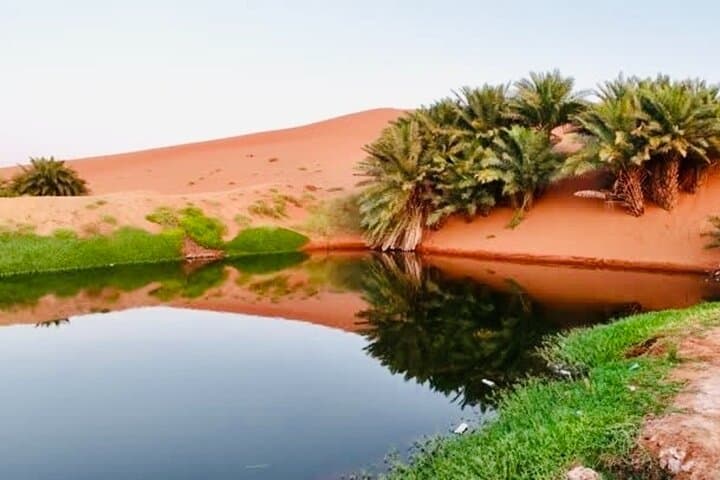 Discover Riyadh Desert & Heritage: Camel Ride, Qasab Salt Flats and Oasis Lake photo 2