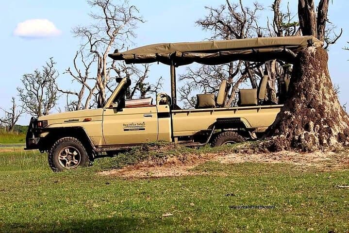 Chobe Day Trip from Livingstone — Game Drive, Lunch & Chobe River Cruise photo 3