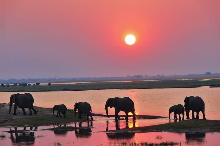 Chobe Day Trip from Livingstone — Game Drive, Lunch & Chobe River Cruise photo 5