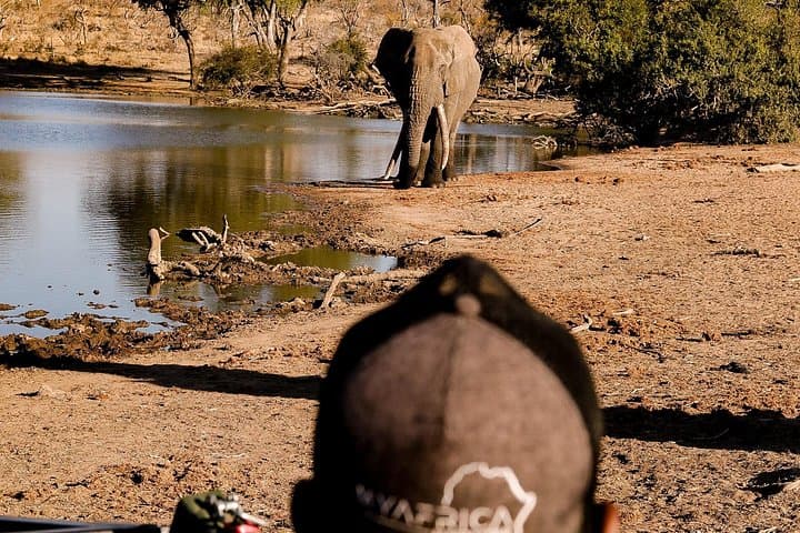 Big 5 Sunrise Safari in Hoedspruit's Blue Canyon Reserve photo 2