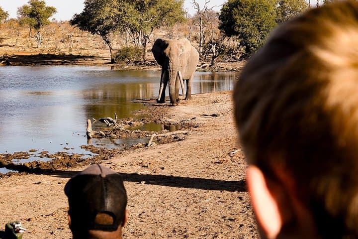 Big 5 Sunrise Safari in Hoedspruit's Blue Canyon Reserve photo 4
