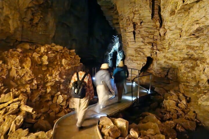 Spellbound Glowworm Caves Small-Group Tour from Auckland — Waitomo Glowworms photo 3