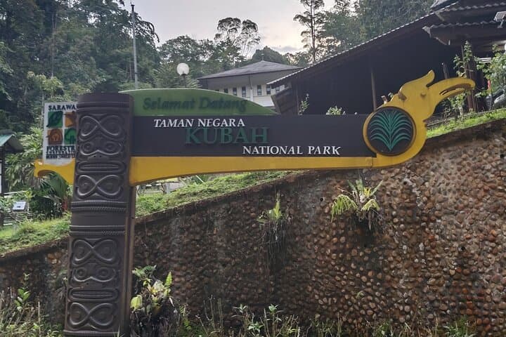 Kubah Nighttime Frog Safari: Guided Nocturnal Walk in Kubah National Park photo 2