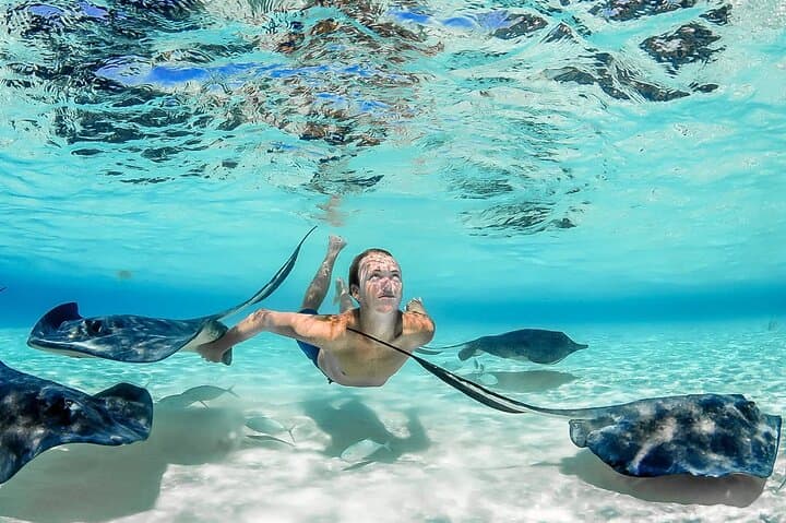 Stingray City and Two Reef Snorkeling Grand Cayman Adventure photo 4