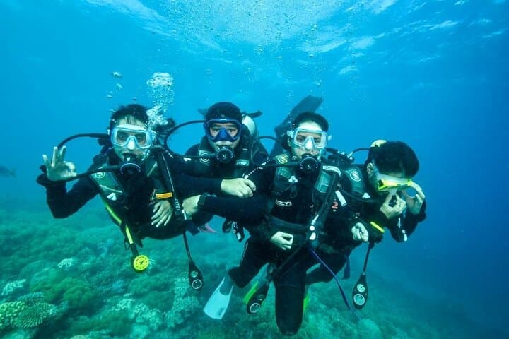 Moore Reef Day Tour: Guided Dive & Pontoon Adventure from Cairns photo 2