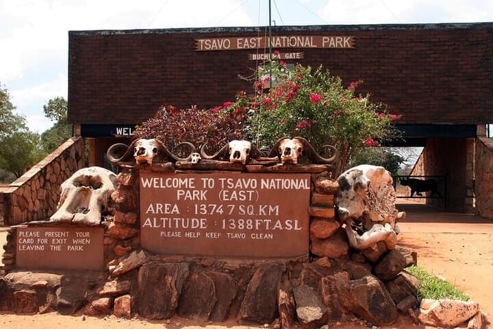 Private Day Safari to Tsavo East National Park from Mombasa: Game Drive & Elephants photo 4