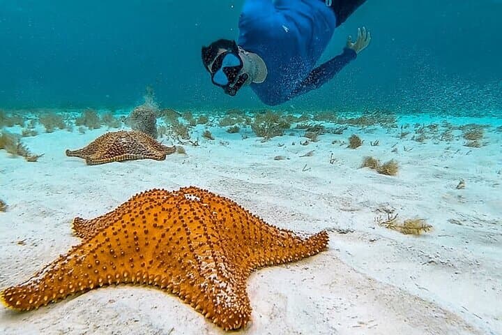 Cayman Combo Tour: Stingrays, Starfish Point & Crystal Caves from Seven Mile Beach