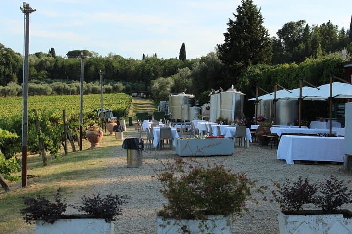 Tuscany Horseback Riding and Wine Tasting: Ride Through Chianti Vineyards photo 6