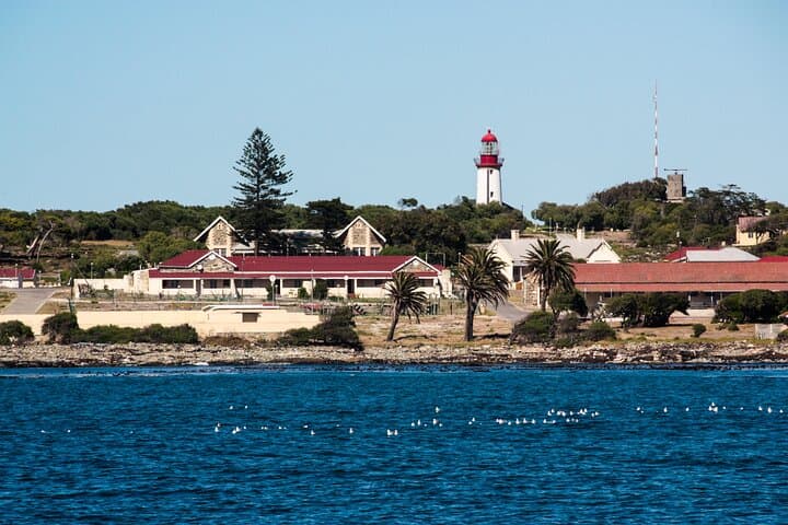 Private Robben Island and Table Mountain Full-Day Tour from Cape Town photo 3