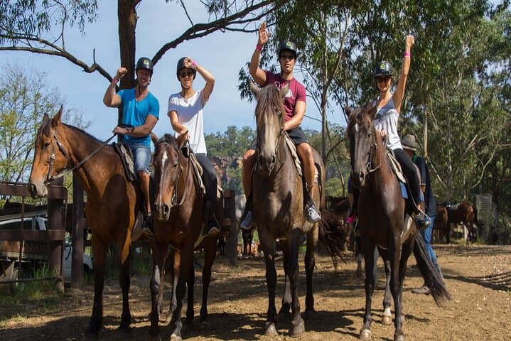 2-Hour Horseback Ride through Agadir's Eucalyptus Forest & Souss River photo 5