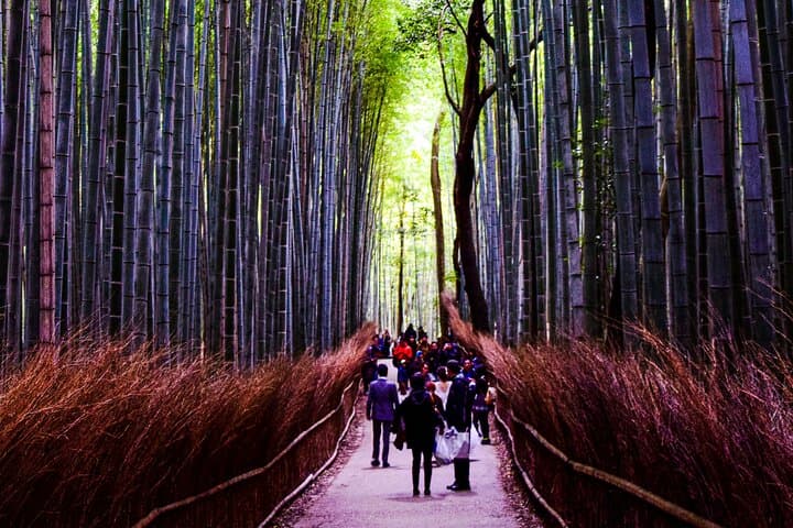Osaka, Nara & Kyoto Day Trip with Private English-Speaking Driver photo 5